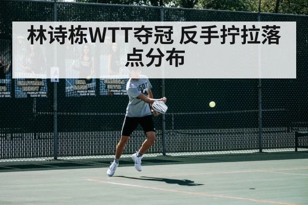林诗栋WTT夺冠 反手拧拉落点分布